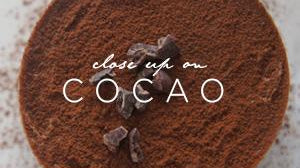 Close Up On Cacao