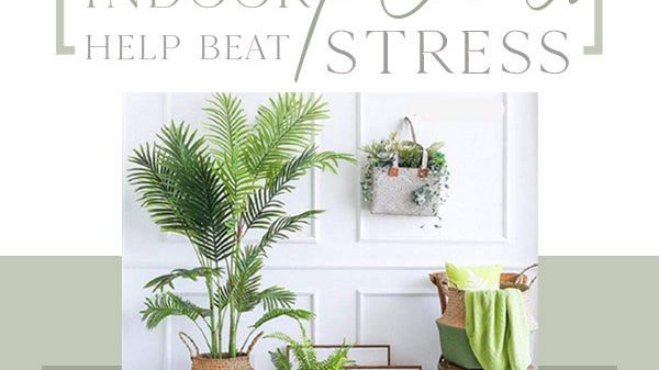 @How Indoor Plants Help Beat Streess