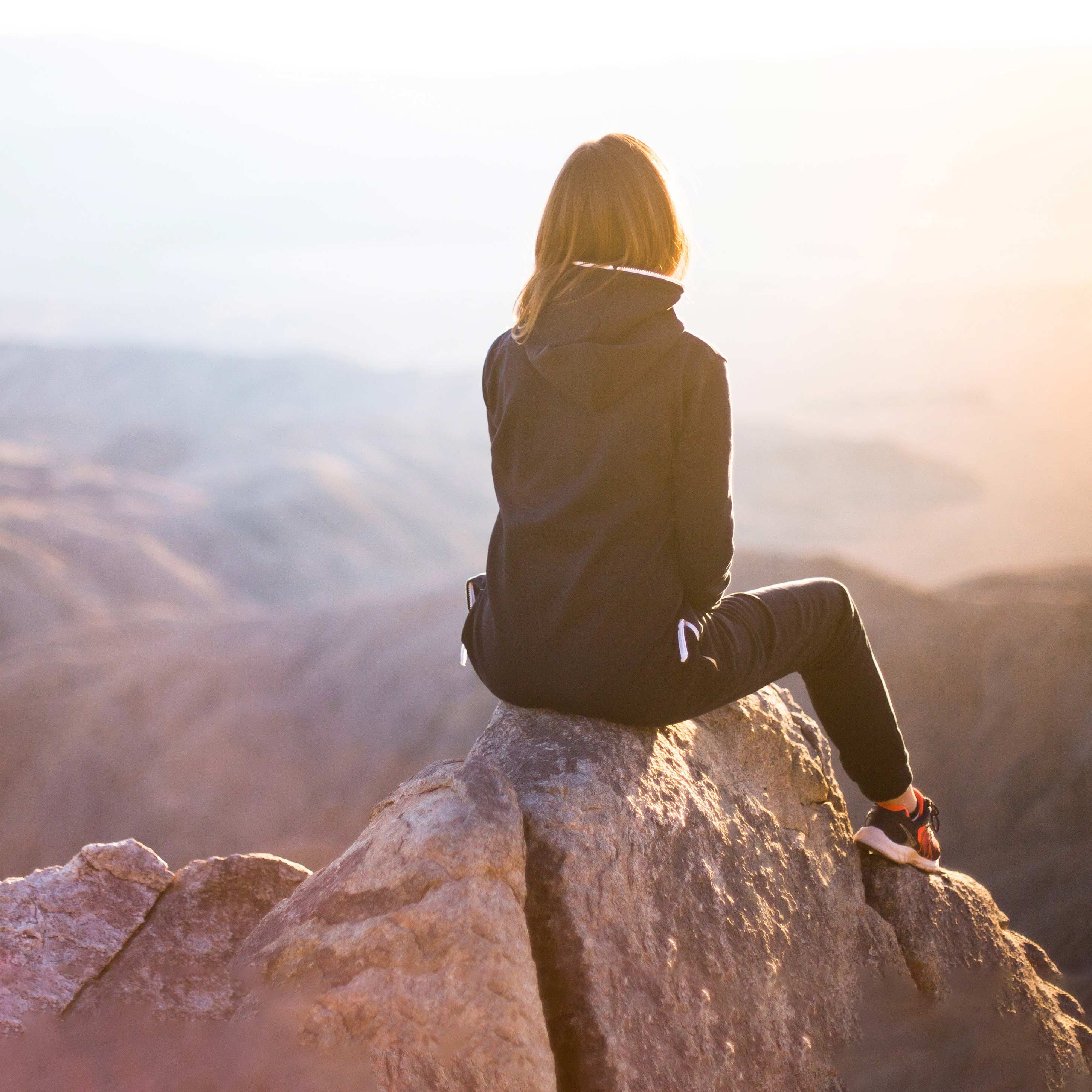 The Pillars of Wellness