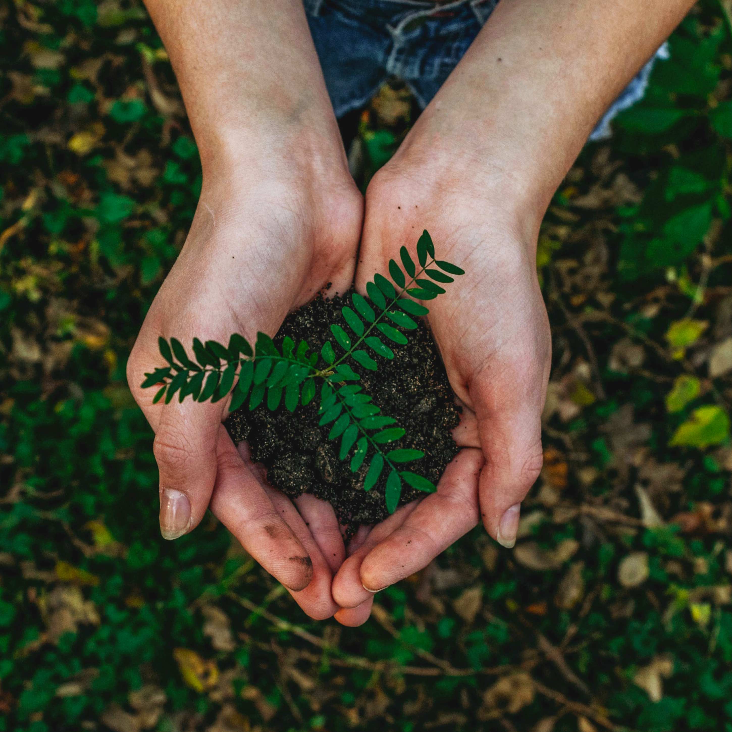 WORLD EARTH DAY 2021