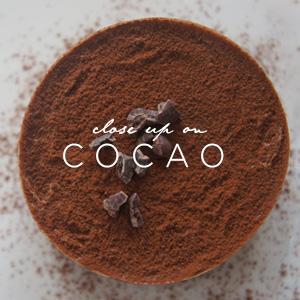 Close Up On Cacao
